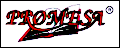 logo_PROMESA.gif