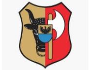 logo firmy