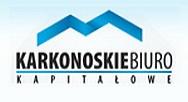 logo firmy