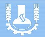 logo firmy