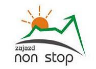 logo firmy