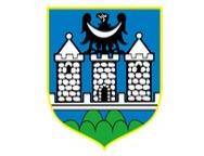 logo firmy