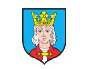 logo firmy