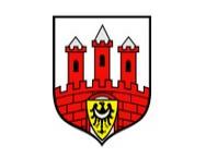 logo firmy
