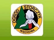 logo firmy