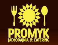 logo firmy