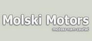 logo firmy